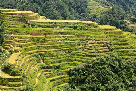 Banaue Rice Terraces - A Tale of Ancient Filipino Ingenuity and Spirit Guardians?